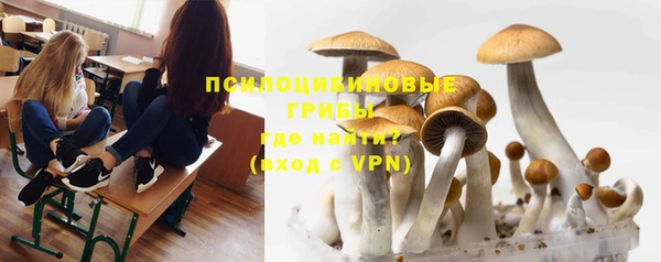 прущая мука Пестово