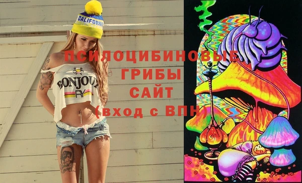 мяу мяу мука Алексеевка
