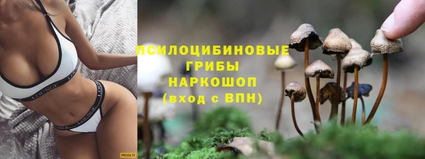 PSILOCYBIN Алексин