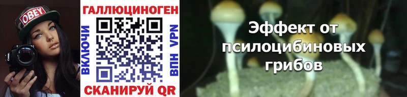 Галлюциногенные грибы Magic Shrooms  Нолинск 